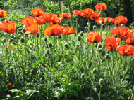 1. Impresionen direkt ums Haus