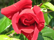 2. Impresionen direkt ums Haus