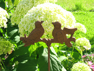 4. Impresionen direkt ums Haus