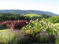 6. Impresionen direkt ums Haus