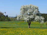 8. Impresionen direkt ums Haus