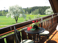 9. Impresionen direkt ums Haus