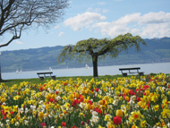 11. Ausflugsziele in der Umgebung