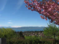 13. Ausflugsziele in der Umgebung