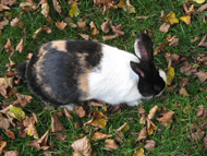 16. Ausflugsziele in der Umgebung