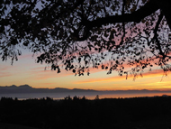 19. Ausflugsziele in der Umgebung